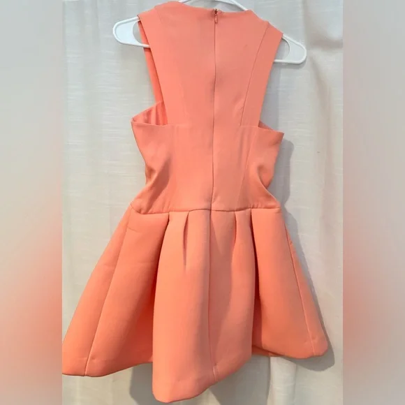 AQ/AQ Broadwalk Mini Dress in Desert Flower, Size 2 (UK 6) - Picture 8 of 11